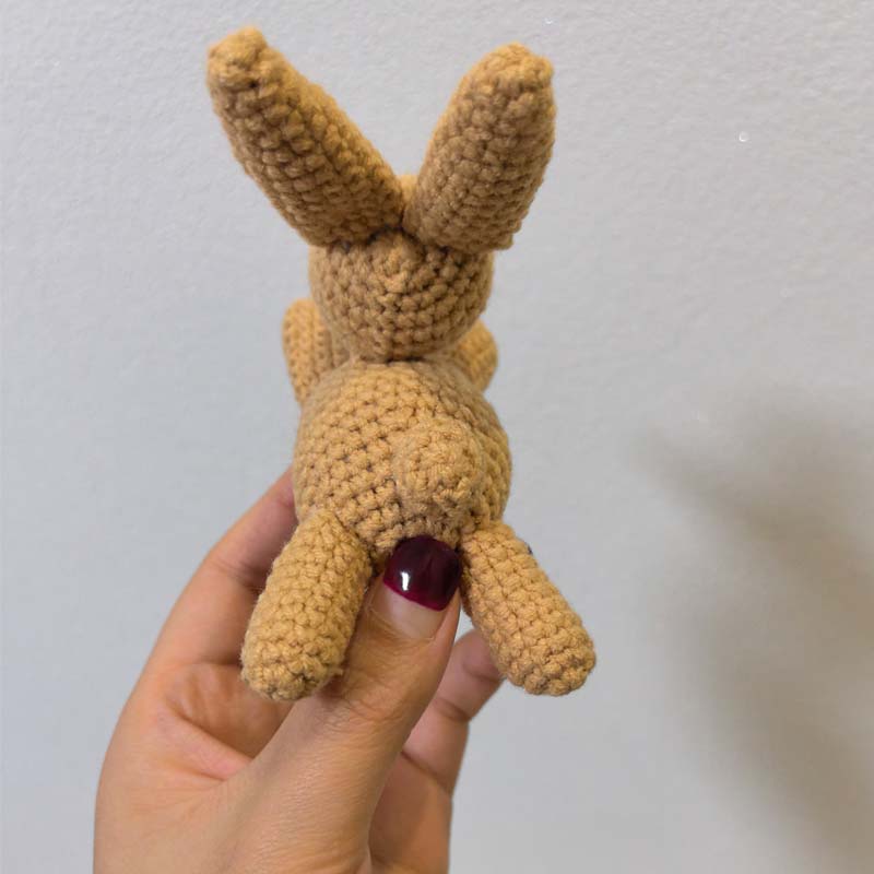 1Pcs Adorable Crochet Rabbit D - Baby Nursery Unisex 评论和价格